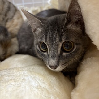 調整中のため、一旦ストップにてお願いします