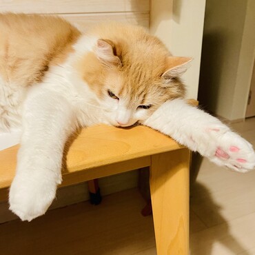 の写真
