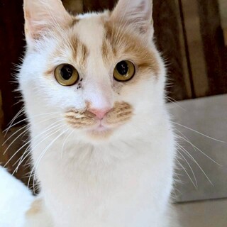 元気いっぱい！甘えん坊な男の子、じん