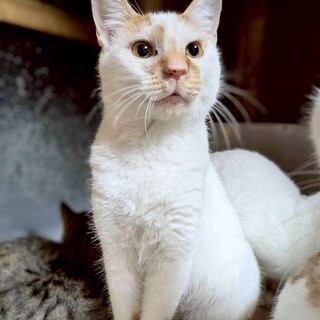 元気いっぱい！甘えん坊な男の子、じん