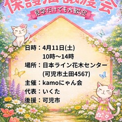 保護猫譲渡会in花木センター