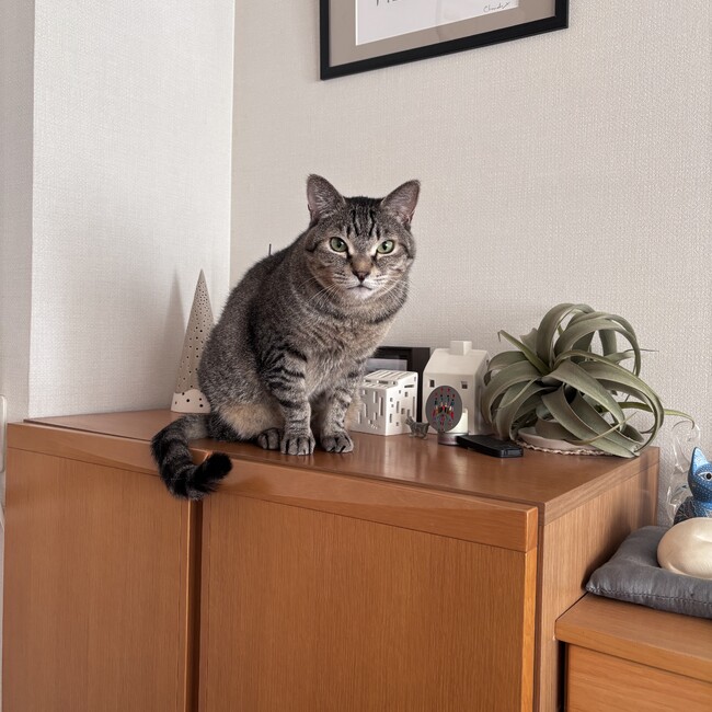 リチャードギアのカバー写真