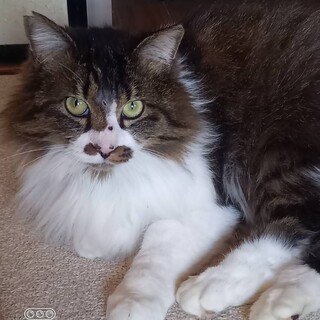 〝モフ男君〟です♪