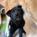 私が1番な「まいちゃん」