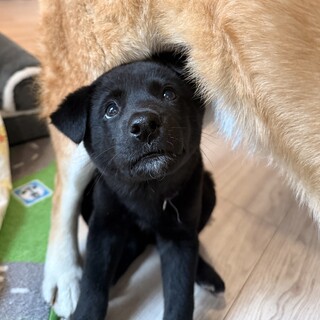 私が1番な「まいちゃん」
