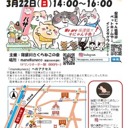 保護猫譲渡会@寝屋川市駅から徒歩4分