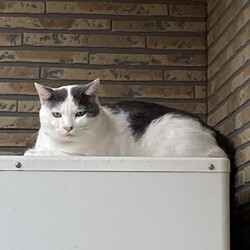 気付かなかった。。。。