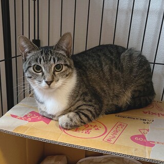 全足ソックス可愛い過ぎ（姉妹一緒に希望）