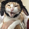  さん