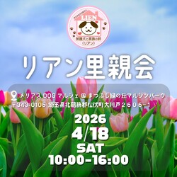 犬保護団体リアン里親会