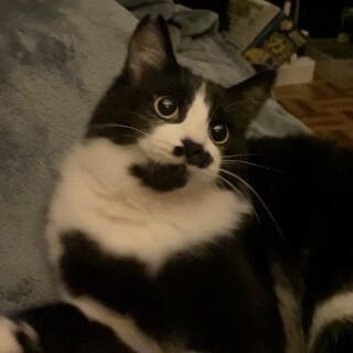 甘えん坊のんびりさん