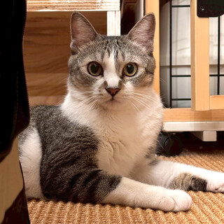 遊ぶの大好き♪とってもビビりちゃん♡