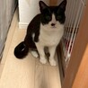 バズちゃん サムネイル2