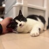 バズちゃん サムネイル3