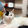 クロちゃん サムネイル3