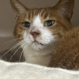 甘えん坊で平和主義❤️みんなに優しい男の子