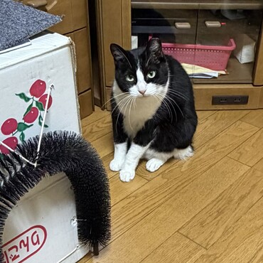 ミラージュちゃん　あたちよりずっと若いのに…(´°̥̥̥̥̥̥̥̥ω°̥̥̥̥̥̥̥̥｀)