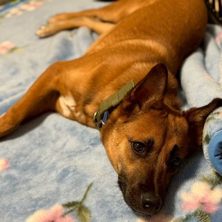 【遊ぶのが大好きな甘えん坊な男の子】空くん