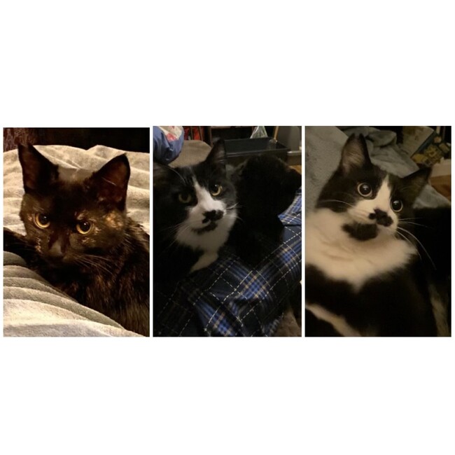 いろはぶんたのカバー写真