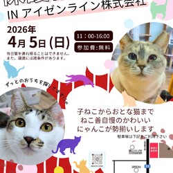 ねこ善保護猫譲渡会