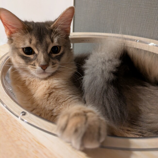 Natsume365のカバー写真