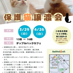 麻生区はるひ野にて保護猫譲渡会開催