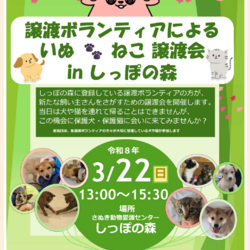 動物愛護センター主催☆いぬねこ譲渡会