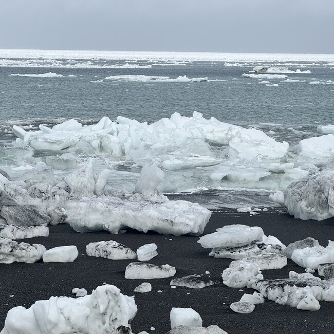 きたきつね8のカバー写真