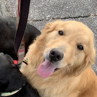 甘えたな女の子