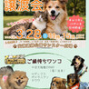 超甘えん坊Mダックス【ララちゃん】 サムネイル7