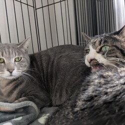 もなか君の経過報告