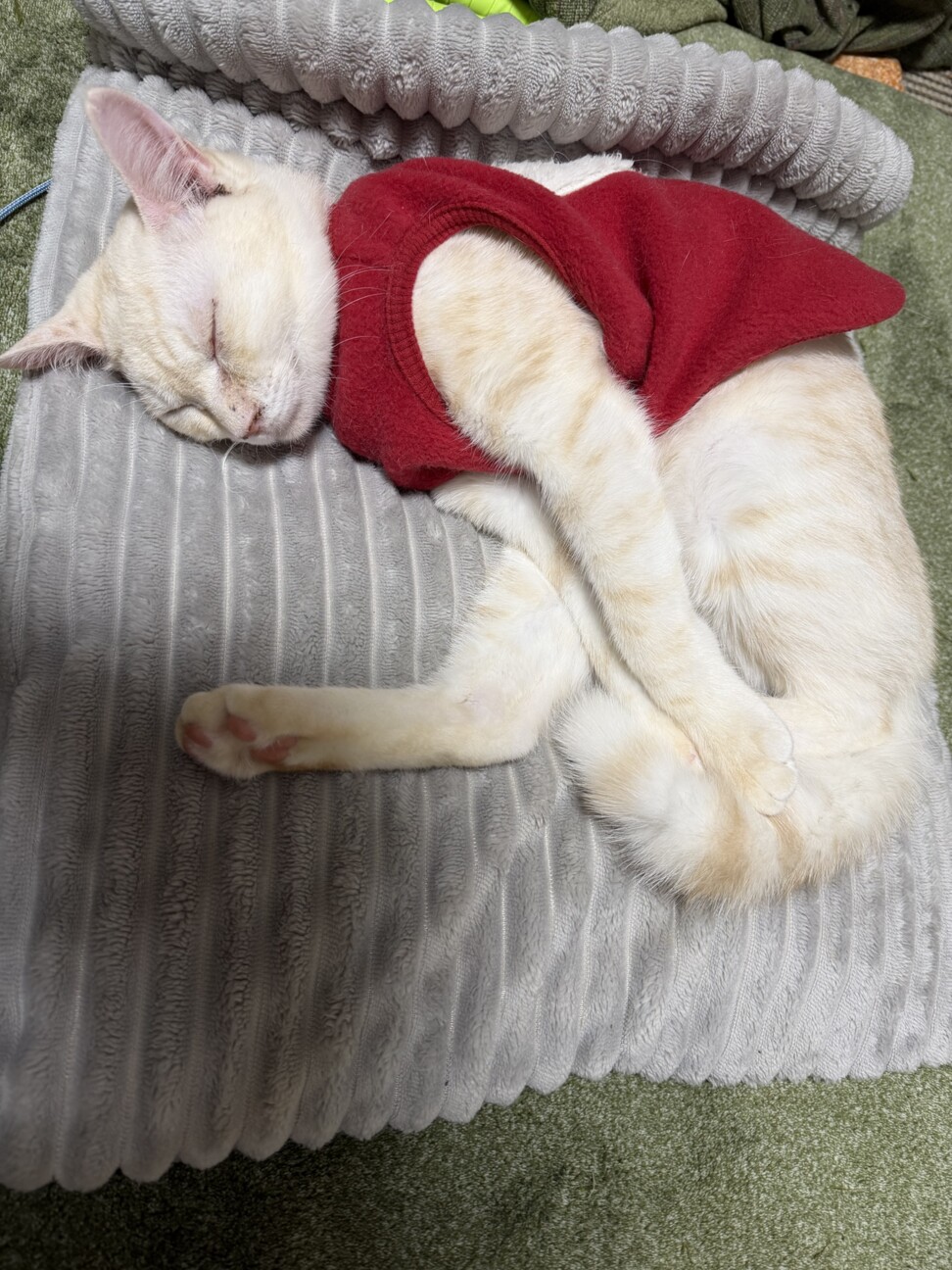 あまおう