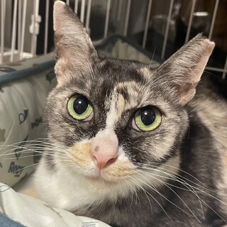 とてもあまえんぼで賢いルビーちゃん