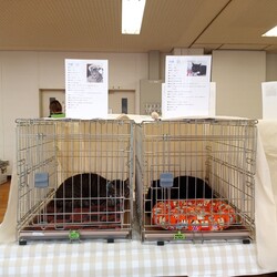 月見にエントリーいただきました！！