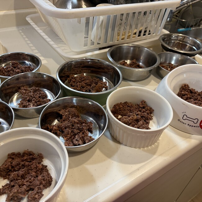 猫トラ相談室のカバー写真