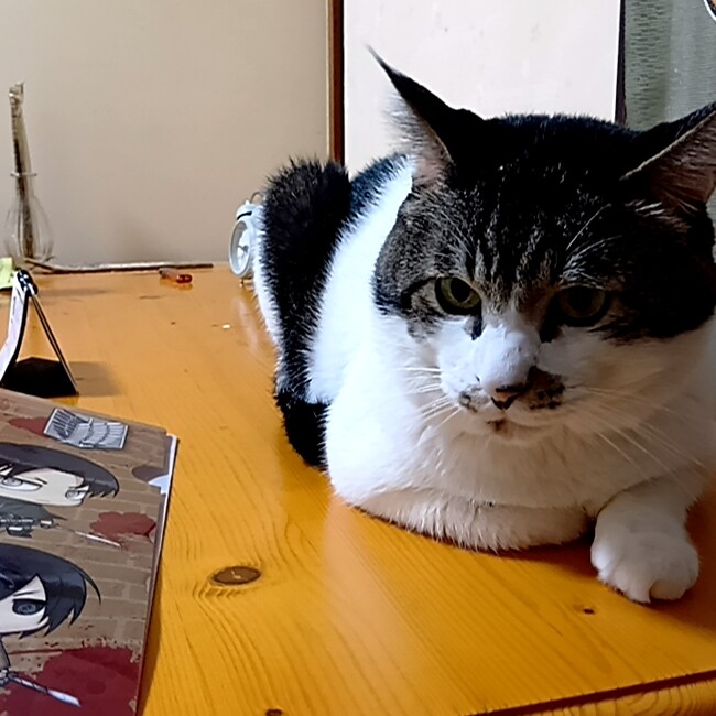 小川そらのカバー写真