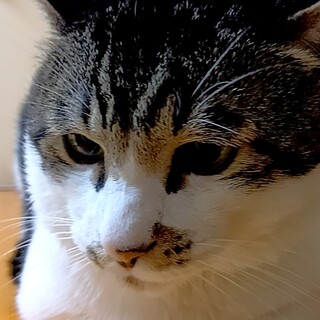 ＃緊急案件　＃助け求む