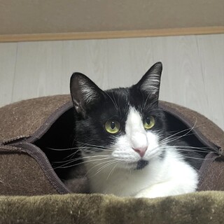 幼くしてママでした。まだ若くて可愛い「ていちゃん」