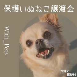 保護いぬねこ譲渡会