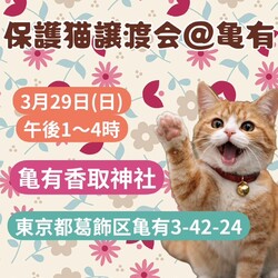 保護猫譲渡会＠亀有