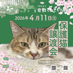 保護猫譲渡会（予約不要）