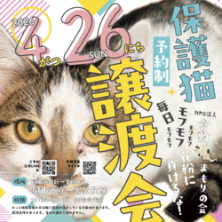 保護猫譲渡会（予約制）