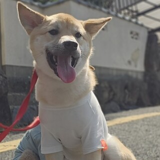 7ヶ月くらい優しい顔の穂高くん