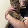 里親さん急募