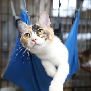 【3/29東日本橋】山梨出身♡月江戸前みやけちゃん