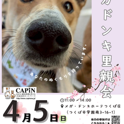 メガドンキ里親会