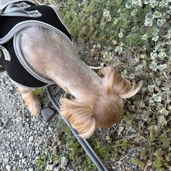 10歳になりました！