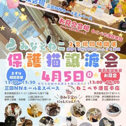 みなとねこ保護猫ミニ譲渡会＠ねこべや港区本店