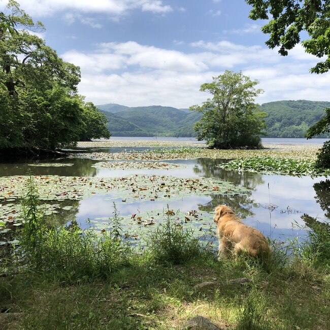 ウエストエンドのカバー写真