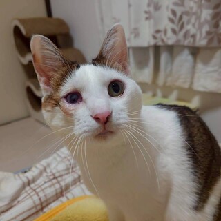 元気いっぱいヤンチャガール♪　すめし♀